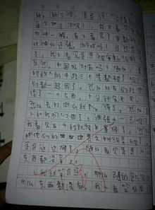 我家的快樂(lè )的事三級作文開(kāi)頭結尾