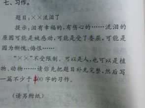 他怎么了作文500字五級開(kāi)頭