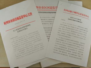 巡視整改工作自查報告(落實巡視整改工作總結(jié))