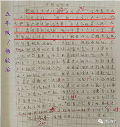 五級(jí)作文信任開(kāi)頭結(jié)尾