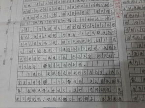需要挫折600字作文開(kāi)頭