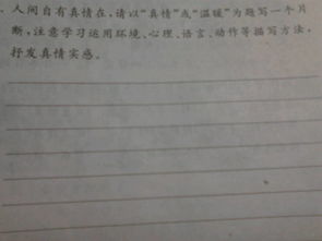 一次溫馨的真情體驗(yàn)作文開(kāi)頭