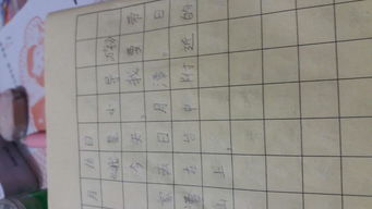我當(dāng)小導(dǎo)游作文開(kāi)頭