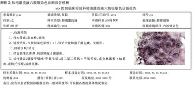醫學(xué)檢驗專(zhuān)題報告范文(見(jiàn)習專(zhuān)題報告范文)