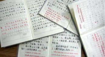 不努力作文開(kāi)頭結尾