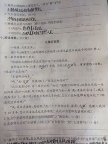 游戲中的智慧作文開頭