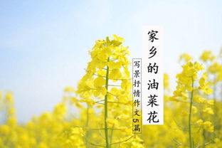 介紹家鄉(xiāng)特產(chǎn)的作文開(kāi)頭
