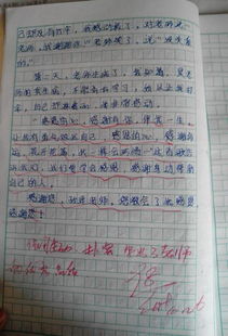 寫自己敬佩的人的作文開頭結(jié)尾