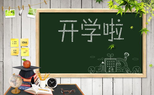 開學第11周作文開頭