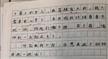 小小動(dòng)物園作文的好開(kāi)頭