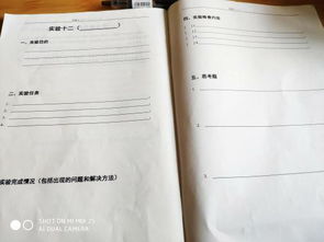 大學(xué)大學(xué)計算機實驗報告(大學(xué)計算機實驗報告范例)