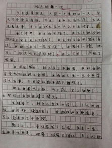 描寫(xiě)幸福的我的作文開(kāi)頭