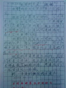 校園的秋天初一500字作文開頭結尾