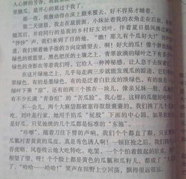 鄉村作文400字四級開(kāi)頭