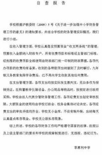 自檢自查報告()