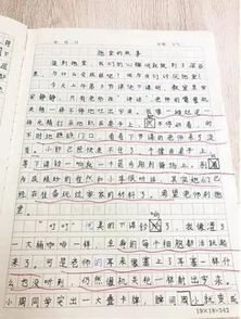 親情關(guān)于同學(xué)的作文開(kāi)頭結(jié)尾怎么寫(xiě)