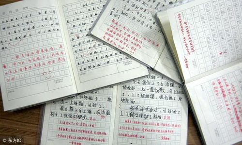 作文接龍的開(kāi)頭