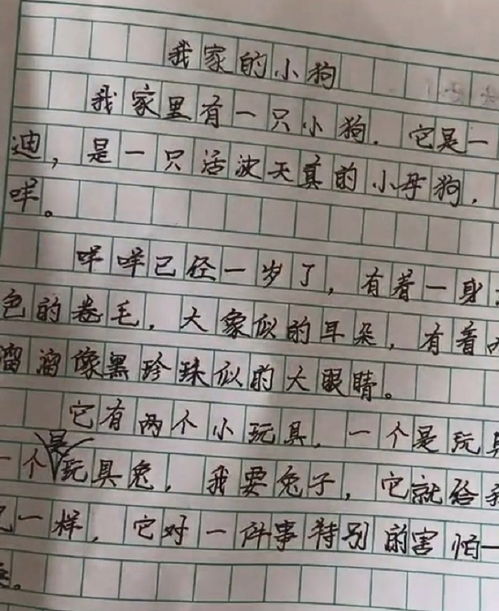 關(guān)于有我的作文開(kāi)頭結尾怎么寫(xiě)