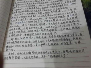 這一段快樂(lè )的日子作文開(kāi)頭