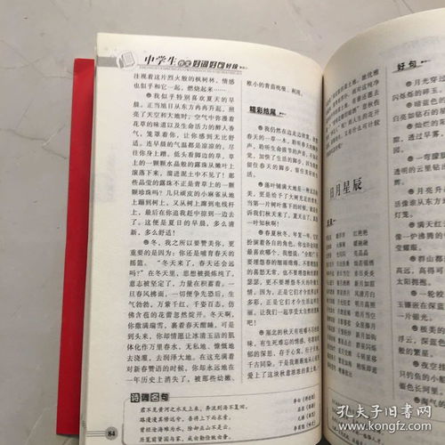 作文精彩開(kāi)頭古詩(shī)