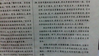 這就是我承諾600字作文開(kāi)頭