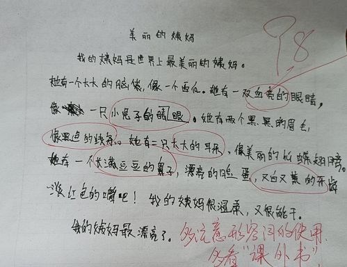 五一小姨結(jié)婚作文開頭