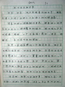 孝心親情父愛(ài)感恩作文開(kāi)頭結尾