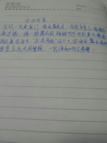 以學(xué)校里的記憶作文600字作文開(kāi)頭