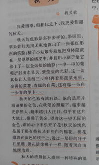 寫(xiě)關(guān)于秋的作文開(kāi)頭