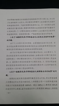 新農(nóng)合整改報(bào)告(新農(nóng)合問題整改報(bào)告)