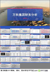 萬科財務(wù)分析報告(萬科財務(wù)分析報告)