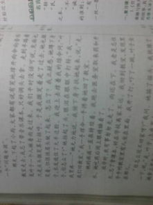 人間真情在作文600字作文開(kāi)頭