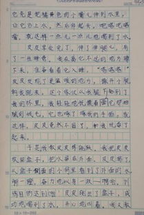 倒敘作文開頭關(guān)于動(dòng)物