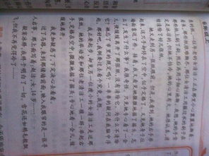 有關(guān)關(guān)愛的三級作文開頭結(jié)尾