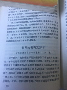 紀念英雄作文1000字作文開頭
