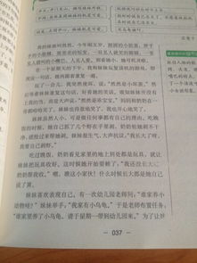 三級作文一件小事作文的好開(kāi)頭結尾