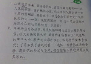 我心中的園子作文開(kāi)頭