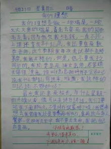物品也有夢(mèng)想作文600字作文開(kāi)頭