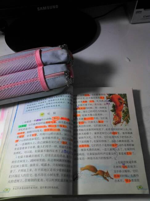 關(guān)于動(dòng)物的說明文(關(guān)于動(dòng)物的初中說明文)