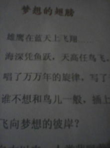 普通心愿作文開(kāi)頭