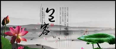 我學(xué)會了寬容作文的開頭與結(jié)尾