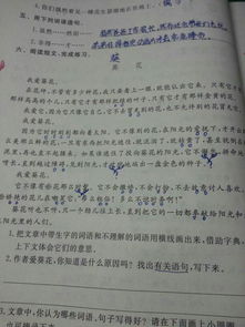 比喻開(kāi)頭法的作文開(kāi)頭,含有比喻的作文開(kāi)頭,運用比喻的作文開(kāi)頭