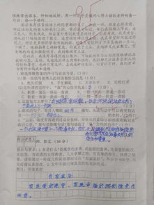 家真好六級作文開(kāi)頭