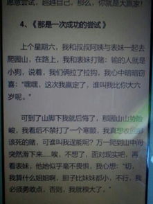 那是一次什么樣的嘗試作文開(kāi)頭結尾