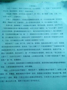 朋友約定有關(guān)的作文開(kāi)頭怎么寫(xiě)