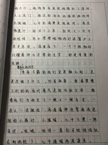 初二萬(wàn)能記敘作文開(kāi)頭