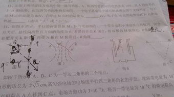 有關(guān)舍得的作文開頭