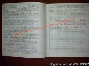 作文為我豎起大拇指開(kāi)頭