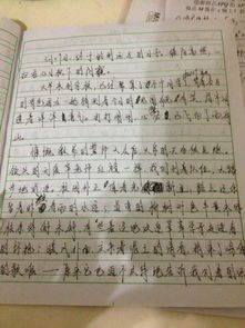 遠足記敘文(春天遠足的記敘文)