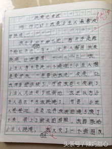 作文,班級,開頭,美食節(jié)